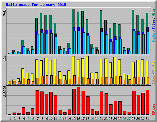 Daily usage for January 2013