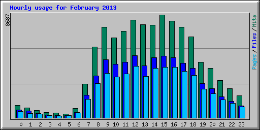 Hourly usage for February 2013